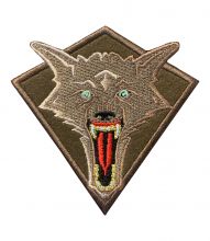 V2 COYOTE PATCH