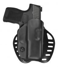 DW OWB SIG P365 LH P100-1